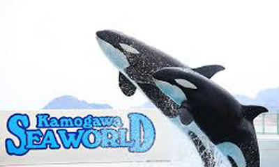 鴨川シーワールド